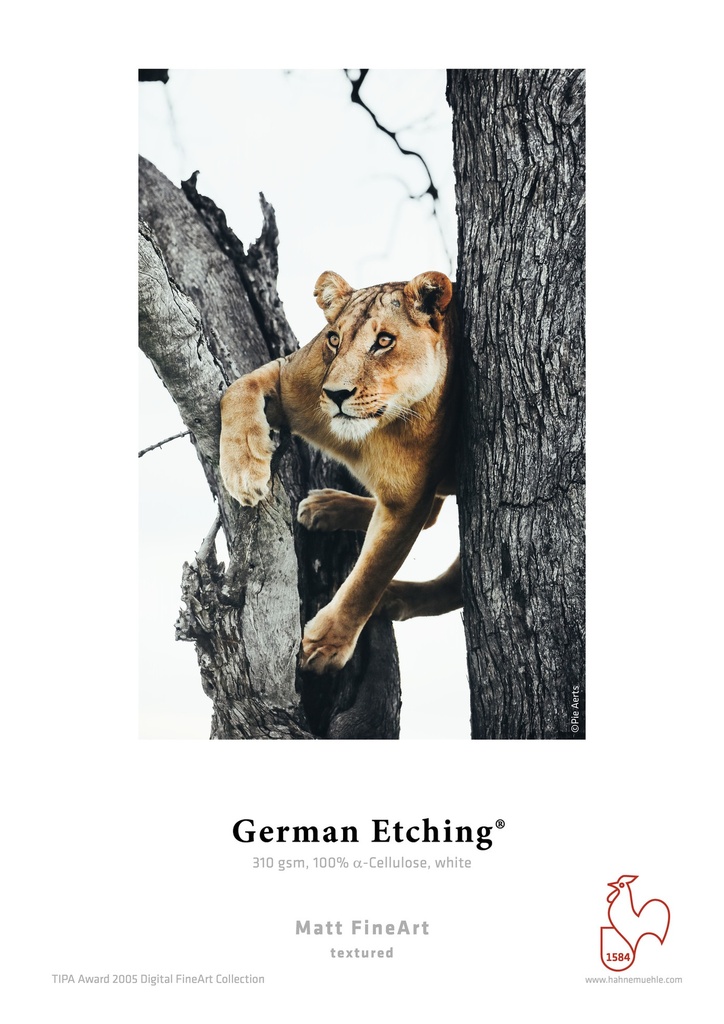 German Etching 310 gsm A4 Box 25 sheets