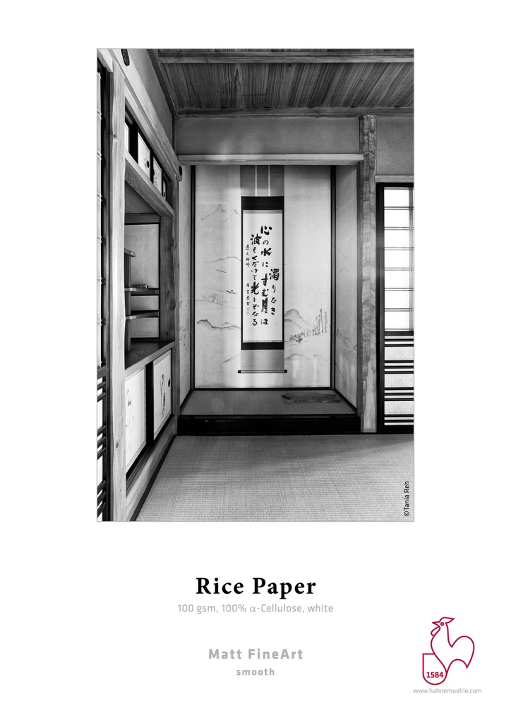 Hahnemühle Rice Paper, 100g, 44'' (111,8cm) x30m