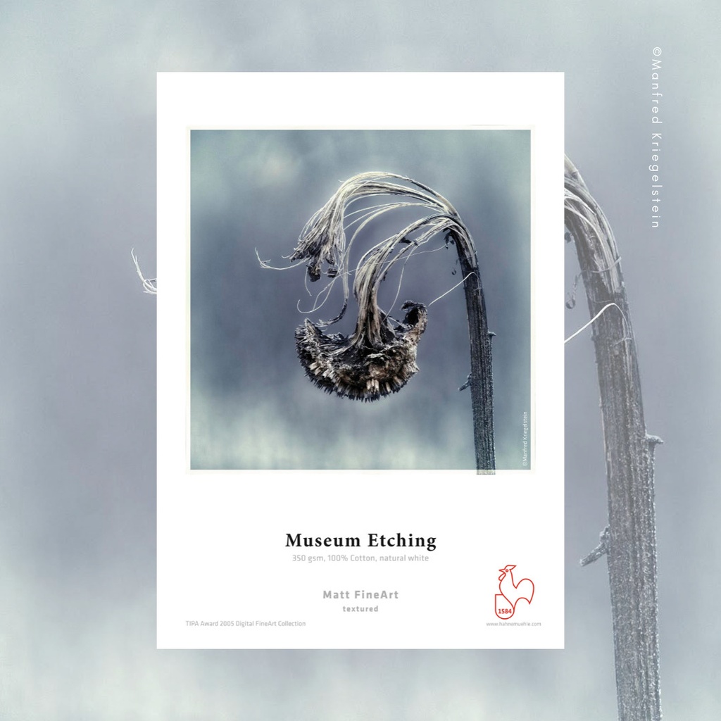 Hahnemühle Museum Etching 350 gsm 44" (111,8cm) x12m