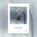 Hahnemühle Museum Etching 350 gsm 44" (111,8cm) x12m