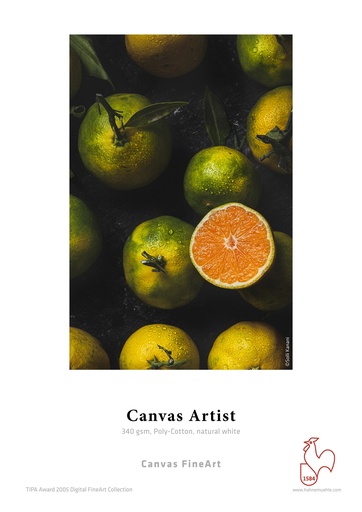 [10626366] Canvas Artist 340 gsm 24"Roll x 12 m