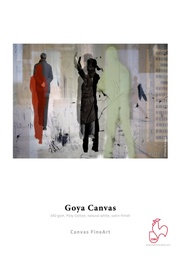 [10626369] Hahnemühle FineArt Canvas "Goya" 340gsm 44'' (111,8cm) x 12m